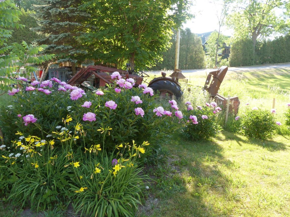 Du Village - Bed & Breakfast 3*